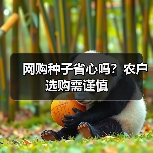 网购种子省心吗?农户选购需谨慎(图2) 网购种子省心吗?农户选购需谨慎(图2)