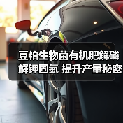豆粕生物菌有机肥解磷解钾固氮 提升产量秘密武器（图2）