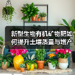 新型生物有机矿物肥如何提升土壤质量与增产增收？（图2）
