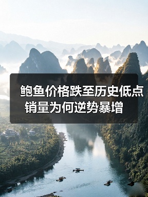 鲍鱼价格跌至历史低点 销量为何逆势暴增(图2) 鲍鱼价格跌至历史低点 销量为何逆势暴增(图2)