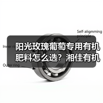 阳光玫瑰葡萄专用有机肥料怎么选？湘佳有机肥助丰收（图4）