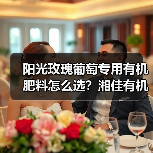 阳光玫瑰葡萄专用有机肥料怎么选？湘佳有机肥助丰收（图2）