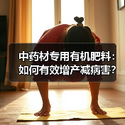 中药材专用有机肥料：如何有效增产减病害？（图2）