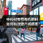 中药材专用有机肥料：如何有效增产减病害？（图4）
