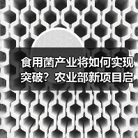 食用菌产业将如何实现突破?农业部新项目启动(图2) 食用菌产业将如何实现突破?农业部新项目启动(图2)
