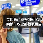 食用菌产业将如何实现突破?农业部新项目启动(图3) 食用菌产业将如何实现突破?农业部新项目启动(图3)