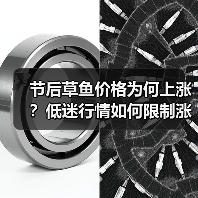 节后草鱼价格为何上涨?低迷行情如何限制涨幅?(图3) 节后草鱼价格为何上涨?低迷行情如何限制涨幅?(图3)