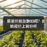尿素价格涨跌如何？多地报价上调分析（图3）
