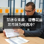 禁送令来袭,迎春花盆景市场为何遇冷?(图4) 禁送令来袭,迎春花盆景市场为何遇冷?(图4)