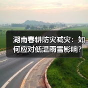 湖南春耕防灾减灾:如何应对低温雨雪影响?(图2) 湖南春耕防灾减灾:如何应对低温雨雪影响?(图2)
