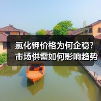 氯化钾价格为何企稳？市场供需如何影响趋势？（图3）