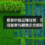尿素价格反弹背后：区域差异与期货走势解析（图2）