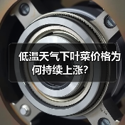 低温天气下叶菜价格为何持续上涨?(图3) 低温天气下叶菜价格为何持续上涨?(图3)
