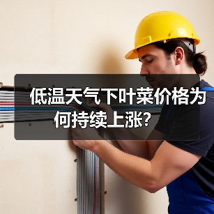 低温天气下叶菜价格为何持续上涨?(图1) 低温天气下叶菜价格为何持续上涨?(图1)