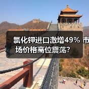 氯化钾进口激增49% 市场价格高位震荡？（图1）