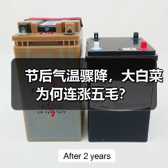 节后气温骤降,大白菜为何连涨五毛?(图3) 节后气温骤降,大白菜为何连涨五毛?(图3)