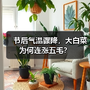 节后气温骤降,大白菜为何连涨五毛?(图2) 节后气温骤降,大白菜为何连涨五毛?(图2)