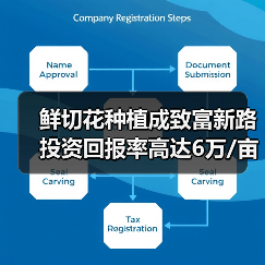 鲜切花种植成致富新路 投资回报率高达6万/亩（图1）