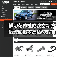 鲜切花种植成致富新路 投资回报率高达6万/亩（图2）