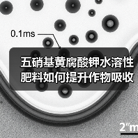 五硝基黄腐酸钾水溶性肥料如何提升作物吸收效率?(图3) 五硝基黄腐酸钾水溶性肥料如何提升作物吸收效率?(图3)