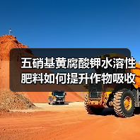 五硝基黄腐酸钾水溶性肥料如何提升作物吸收效率?(图4) 五硝基黄腐酸钾水溶性肥料如何提升作物吸收效率?(图4)