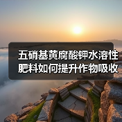 五硝基黄腐酸钾水溶性肥料如何提升作物吸收效率?(图2) 五硝基黄腐酸钾水溶性肥料如何提升作物吸收效率?(图2)