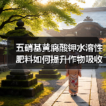 五硝基黄腐酸钾水溶性肥料如何提升作物吸收效率?(图1) 五硝基黄腐酸钾水溶性肥料如何提升作物吸收效率?(图1)