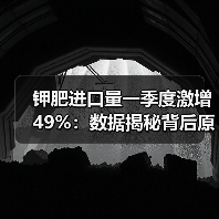 钾肥进口量一季度激增49%：数据揭秘背后原因（图1）