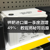钾肥进口量一季度激增49%：数据揭秘背后原因（图4）
