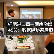 钾肥进口量一季度激增49%：数据揭秘背后原因（图2）