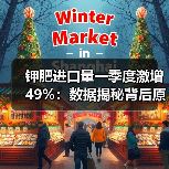 钾肥进口量一季度激增49%：数据揭秘背后原因（图3）