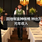 因地制宜种核桃 种出万元年收入(图3) 因地制宜种核桃 种出万元年收入(图3)
