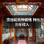 因地制宜种核桃 种出万元年收入(图4) 因地制宜种核桃 种出万元年收入(图4)