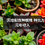 因地制宜种核桃 种出万元年收入(图2) 因地制宜种核桃 种出万元年收入(图2)