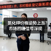 氯化钾价格逆势上涨？市场回暖信号浮现（图3）