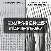 氯化钾价格逆势上涨？市场回暖信号浮现（图2）