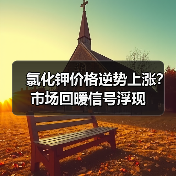 氯化钾价格逆势上涨？市场回暖信号浮现（图4）
