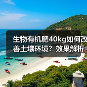 生物有机肥40kg如何改善土壤环境?效果解析(图3) 生物有机肥40kg如何改善土壤环境?效果解析(图3)