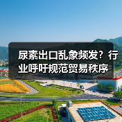 尿素出口乱象频发？行业呼吁规范贸易秩序（图4）