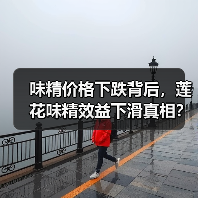 味精价格下跌背后,莲花味精效益下滑真相?(图3) 味精价格下跌背后,莲花味精效益下滑真相?(图3)