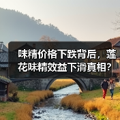 味精价格下跌背后,莲花味精效益下滑真相?(图1) 味精价格下跌背后,莲花味精效益下滑真相?(图1)