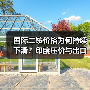 国际二铵价格为何持续下滑？印度压价与出口政策影响（图2）