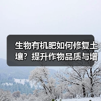 生物有机肥如何修复土壤?提升作物品质与增产增收的秘密(图2) 生物有机肥如何修复土壤?提升作物品质与增产增收的秘密(图2)