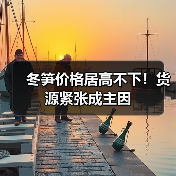 冬笋价格居高不下!货源紧张成主因(图3) 冬笋价格居高不下!货源紧张成主因(图3)