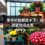 冬笋价格居高不下!货源紧张成主因(图2) 冬笋价格居高不下!货源紧张成主因(图2)