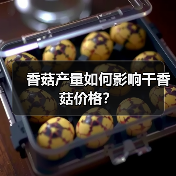 香菇产量如何影响干香菇价格?(图1) 香菇产量如何影响干香菇价格?(图1)
