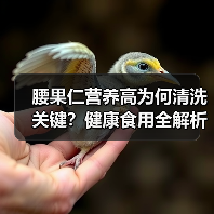 腰果仁营养高为何清洗关键？健康食用全解析（图2）