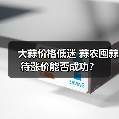大蒜价格低迷 蒜农囤蒜待涨价能否成功？（图3）