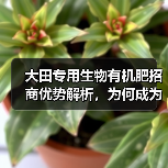 大田专用生物有机肥招商优势解析,为何成为农业新宠?(图3) 大田专用生物有机肥招商优势解析,为何成为农业新宠?(图3)