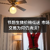 节后生猪价格低迷 市场交易为何仍清淡？（图3）